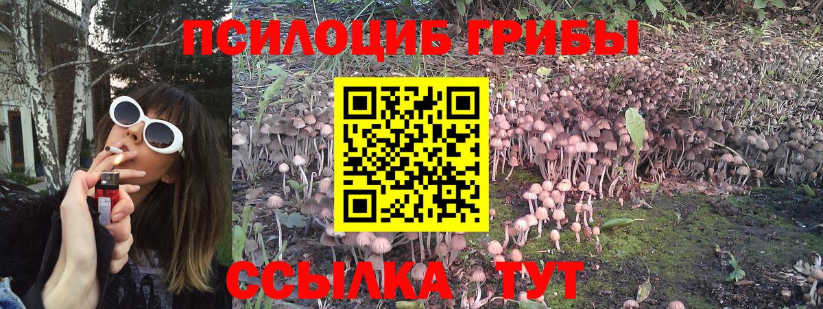 Галлюциногенные грибы прущие грибы Советский